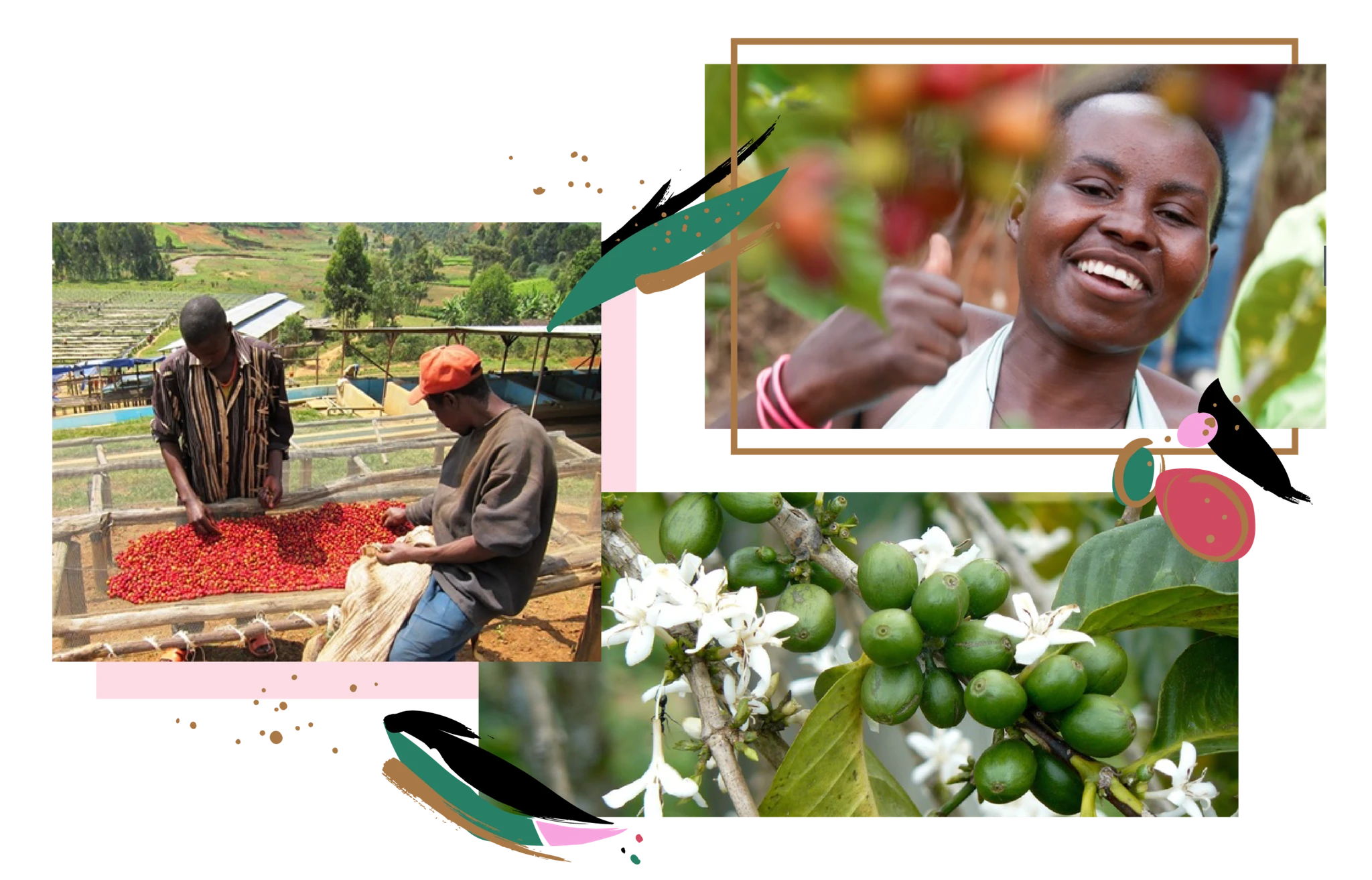 angelopedesign_reserveCard_abakundakawa_farmers.png