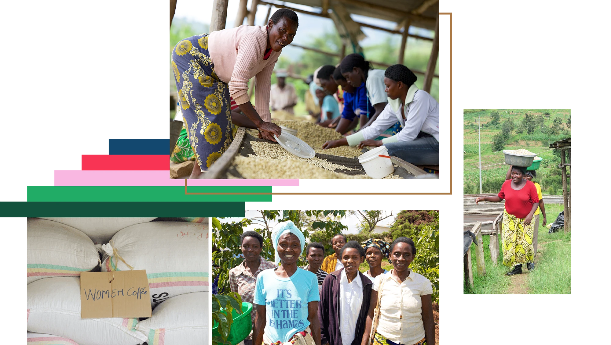 angelopedesign_reserveCard_hingakawa_farmers.png